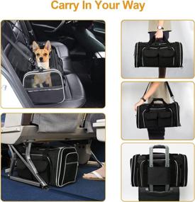 img 2 attached to 🐱 Estarer Airline Approved Soft Sided Pet Carrier - 4 Sides Expandable Collapsible Cat Carrier with Pockets, Removable Fleece Pad - Travel Carrier Bag for Cats, Dogs, and Small Animals