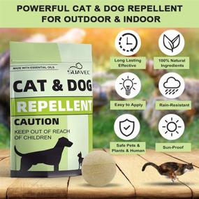 img 3 attached to 🐾 Keep Cats and Dogs at Bay: SUAVEC Outdoor Cat and Dog Repellent - Stray Cat Deterrent, Dog Digging Repellent, Indoor Cat Repellant, Safe Yard and Lawn Dog Repellent - 8 Pack