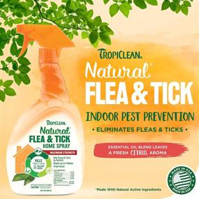 img 3 attached to TropiClean Natural Flea & Tick Home Spray For Dogs, 32Oz - Essential Oils Kill Fleas Naturally On Carpet, Furniture, & Bedding - Suitable For Use In Homes With Dogs & Cats - Made In The USA