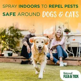 img 1 attached to TropiClean Natural Flea & Tick Home Spray For Dogs, 32Oz - Essential Oils Kill Fleas Naturally On Carpet, Furniture, & Bedding - Suitable For Use In Homes With Dogs & Cats - Made In The USA