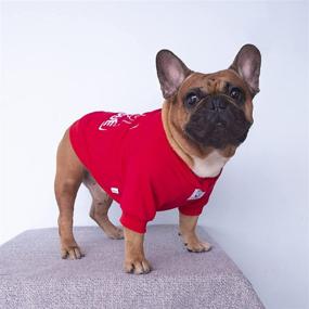 img 1 attached to 🐶 iChoue Embroidered Cotton Dog Sweater Apparel