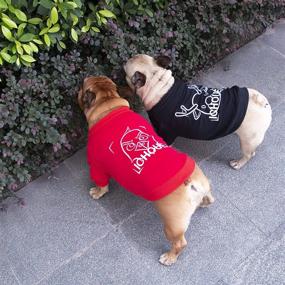 img 3 attached to 🐶 iChoue Embroidered Cotton Dog Sweater Apparel