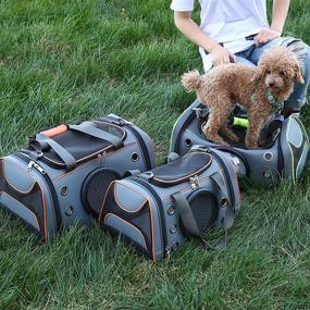 img 2 attached to 🐾 Soft-Sided Pet Airline Approved Carrier Bag - Dog & Cat Carrier - Foldable for Small to Medium Dogs and Cats - Travel Comfortable - Large Green Designer Cat Carrier for Car