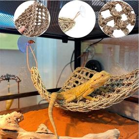 img 3 attached to 🦎 HAMILEDYI Bearded Dragon Tank Accessories - Lizard Hammock with Adjustable Leash, Bat Wings and Reptile Plants - Hanging Fake Vines for Tank Habitat Decor, Ideal for Climbing Chameleon Lizards, Gecko and Snakes