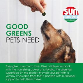 img 1 attached to 🐾 Sun Chlorella Rejuv-A-Wafers: Premium Daily Superfood Supplement for Dogs, Cats & Other Animals - Enriched with Green Microalgae & Eleuthero Bits - Boost Immune Defense, Gut Health - 60 Wafers