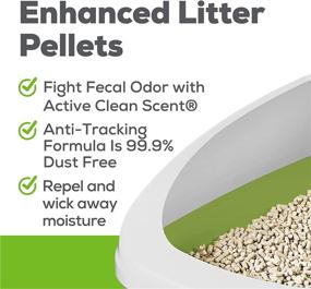 img 1 attached to 🧼 Tidy Cats Purina Breeze Litter System Cat Extra Strength Refill Bundle: The Ultimate Choice for a Cleaner and Hassle-free Cat Litter Experience