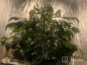 img 6 attached to Samsung 301B Full Spectrum LED Plant Grow Light - Phlizon Linear Series PH-3000 4X4Ft Водонепроницаемая бесшумная лампа для выращивания комнатных растений