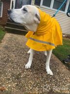 img 1 attached to Stay Stylish And Safe In The Rain With NINEMAX Dog Raincoat - Adjustable Pet Jacket With Reflective Strip For Medium To Large Dogs review by Terry Murphy