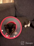 img 1 attached to Adjustable Lightweight Pet Cone Collar For Cats And Small Dogs | Vivifying Elizabethan Recovery Cone In Pink | 3 Sizes Available review by Andrea Larson