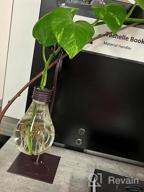 img 1 attached to Add A Touch Of Green To Your Space With Marbrasse Desktop Glass Planter - Lovely Dog Hydroponics Vase review by Mike Donathan