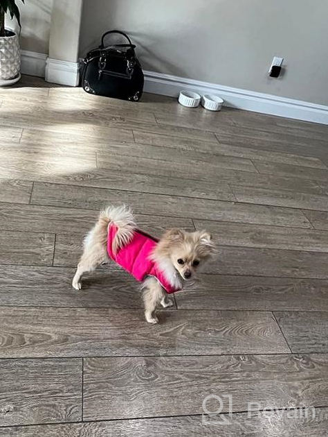 img 1 attached to Gooby Padded Vest Dog Jacket - Solid Pink, Medium - Warm Zip Up Dog Vest Fleece Jacket With Dual D Ring Leash - Water Resistant Small Dog Sweater - Dog Clothes For Small Dogs Boy And Medium Dogs review by Antonio Liu