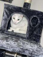 img 1 attached to 🐱 Ultimate Cat Playground: BEWISHOME Cat Tree with Scratching Posts, Condos, Perches, Balls, Hammock – Brown MMJ01Z review by Brandon Havlicek