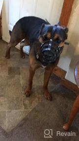 img 8 attached to Leather Basket Dog Muzzle For German Shepherd, Dalmatian, Doberman Setter & Medium-Large Breeds - Black/Brown (L)