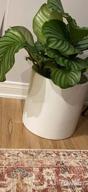 картинка 1 прикреплена к отзыву Modern 10-Inch Glazed Ceramic Planter Pot With Watering Drainage And Rubber Plug For Indoor Succulents, Flowers, And Bonsai от Jamel Ochoa