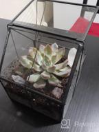 img 1 attached to 🌿 Ferrisland Glass Plant Terrarium Container: Perfect Small Succulent Wardian Case for Indoor Tabletop Decor & DIY Gifts - 5.0"x4.3"x4.3 review by Frank Ridl