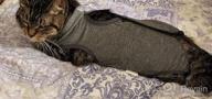 img 1 attached to 🐱 Surgical Abdominal Wound Recovery Suit for Cats - Indoor Pet Clothing & E-Collar Alternative Pajama Suit After Surgery review by Antonio Fox