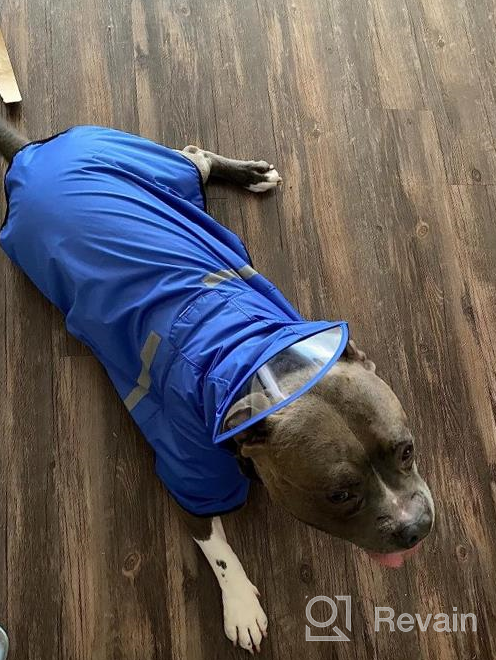img 1 attached to Waterproof Dog Raincoat With Adjustable Belly Strap, Leash Hole & Reflective Strip - Lightweight Breathable Hoodie Jacket For Medium Large Dogs - Easy To Wear review by John Graves