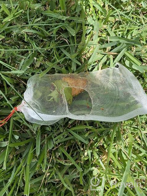img 1 attached to 100 Pack 4X6 Inch Nylon Fruit Protection Bags With Drawstring For Garden Plants - EnPoint Reusable Mesh Netting Bags For Protecting Seed, Flower, Vegetable And Fruit review by Janie Dennis