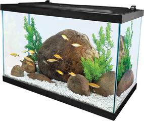 img 3 attached to Tetra Glass Aquarium Gallons Rectangular Fish & Aquatic Pets