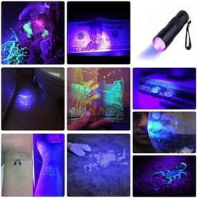 img 1 attached to 🔦 10-Pack UV Blacklight Torch Light with 12 LED - Perfect for Outdoors and More by Optimal Shop