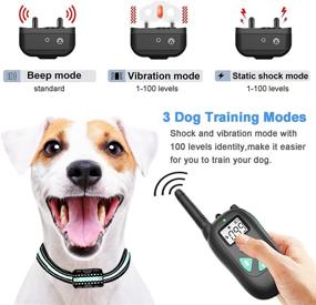 img 3 attached to Remote Dog Training Collar - Waterproof Shock Collar for Dogs (8-120lbs) with Beep, Vibration, and Safe Shock Modes - 1500Ft Range