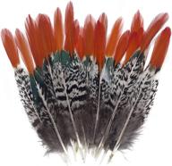 натуральные перья пятнистого фазана - красный кончик хвоста леди амхерст, 20 шт. для поделок, украшения одежды и ювелирных изделий (6-8 дюймов) логотип