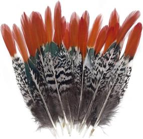 img 4 attached to Natural Spotted Pheasant Feathers - Red Tip Lady Amherst Tails, 20Pcs For DIY Craft, Clothing And Jewelry Decoration (6-8")