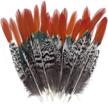 natural spotted pheasant feathers - red tip lady amherst tails, 20pcs for diy craft, clothing and jewelry decoration (6-8") logo