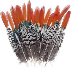 img 3 attached to Natural Spotted Pheasant Feathers - Red Tip Lady Amherst Tails, 20Pcs For DIY Craft, Clothing And Jewelry Decoration (6-8")