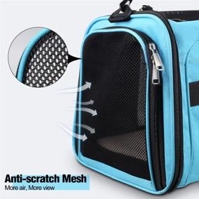 img 1 attached to Travel In Style: Collapsible Blue Cat Carrier For Small To Medium Pets - Airline Approved