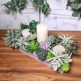 img 1 attached to Decorate Your Home With Supla 15 Pcs Assorted Artificial Succulent Plants - Bulk Pack