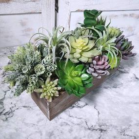 img 2 attached to Decorate Your Home With Supla 15 Pcs Assorted Artificial Succulent Plants - Bulk Pack
