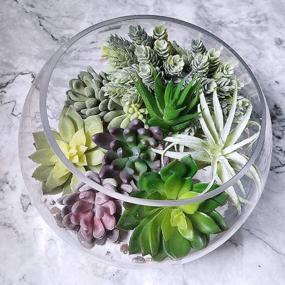 img 3 attached to Decorate Your Home With Supla 15 Pcs Assorted Artificial Succulent Plants - Bulk Pack