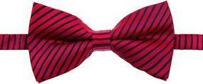 img 1 attached to 👔 Retreez Modern Stripe Microfiber Pre Tied Men's Accessories: Versatile Ties, Cummerbunds & Pocket Squares