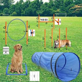 img 1 attached to 🐾 GeerDuo Dog Agility Training Equipment: Complete Starter Kit for Outdoor Fun with Tunnel, Weave Poles, Hurdle, Jump Ring, Pause Box, and Carrying Bag