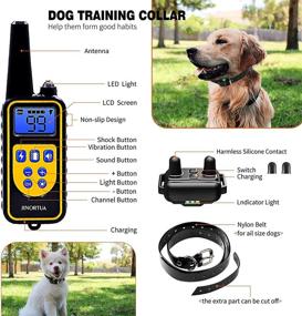 img 2 attached to 2800Ft Remote, Rechargeable Dog Training Collar with Shock, Waterproof & Adjustable Levels for Small, Medium, Large Dogs