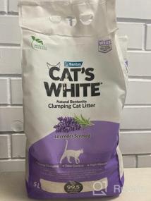 img 5 attached to Cat&quot’s White Lavender Compact Filler with Soft Lavender Fragrance For Cat Toilet (5l) Without Characteristic