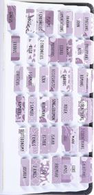 img 4 attached to DIVERSEBEE Laminated Bible Tabs (Large Print, Easy To Apply), Bible Study Journaling Supplies, 77 Bible Index Book Tabs For Women, Bible Accessories, Includes 11 Blank Tabs - Amethyst Theme