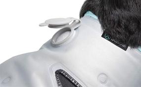 img 4 attached to 🐶 Silver Small Suitical Dog Dry Cooling Vest