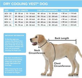 img 2 attached to 🐶 Silver Small Suitical Dog Dry Cooling Vest