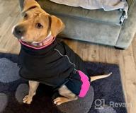 img 1 attached to BRKURLEG Dog Jacket Winter Coat,Turtleneck Reflective Dog Cold Weather Coat With Fleece Lining,Waterproof Warm Padded Doggy Waistcoat,Adjustable Neck Chest Girth Dog Windbreaker Vest For All Breeds review by Katie Peters