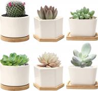 6 small ceramic succulent planter pots with drainage hole & bamboo tray - white porcelain garden decor for home and office (no plants) логотип