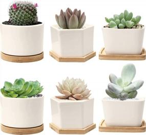 img 4 attached to 6 Small Ceramic Succulent Planter Pots With Drainage Hole & Bamboo Tray - White Porcelain Garden Decor For Home And Office (No Plants)