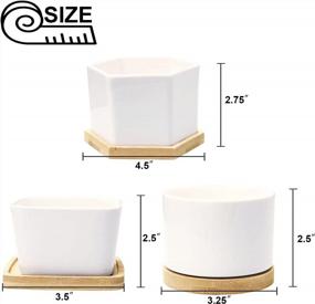 img 3 attached to 6 Small Ceramic Succulent Planter Pots With Drainage Hole & Bamboo Tray - White Porcelain Garden Decor For Home And Office (No Plants)