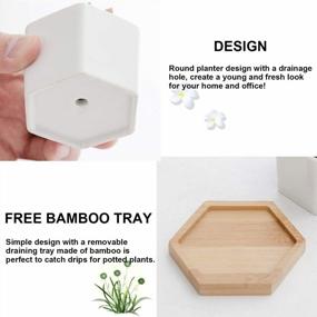 img 2 attached to 6 Small Ceramic Succulent Planter Pots With Drainage Hole & Bamboo Tray - White Porcelain Garden Decor For Home And Office (No Plants)