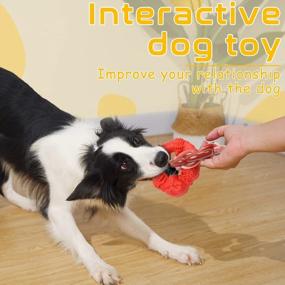 img 3 attached to Rmolitty Indestructible Dog Toys for Aggressive Chewers - Large Breed Tough Chew Toys for Medium to Large Dogs - Non-Toxic Natural Rubber & Nylon Double-Ring Teething Toys