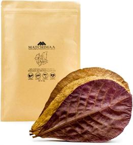 img 4 attached to Enhance Your Aquarium with Premium Indian Almond Leaves: Perfect Addition for Health, Vitality, and Successful Breeding of Bettas and Shrimp