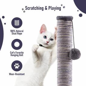img 2 attached to Sturdy Double Base Plate Cat Scratching Post With Self-Groomer - Perfect Kitten Scratching Posts For Indoor Cats - Jaoul 21
