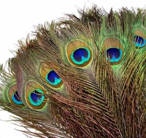 img 3 attached to 100Pcs 10"-12" Natural Peacock Feathers For Crafts Decoration - Blisstime