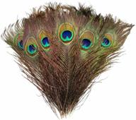 100pcs 10"-12" natural peacock feathers for crafts decoration - blisstime logo